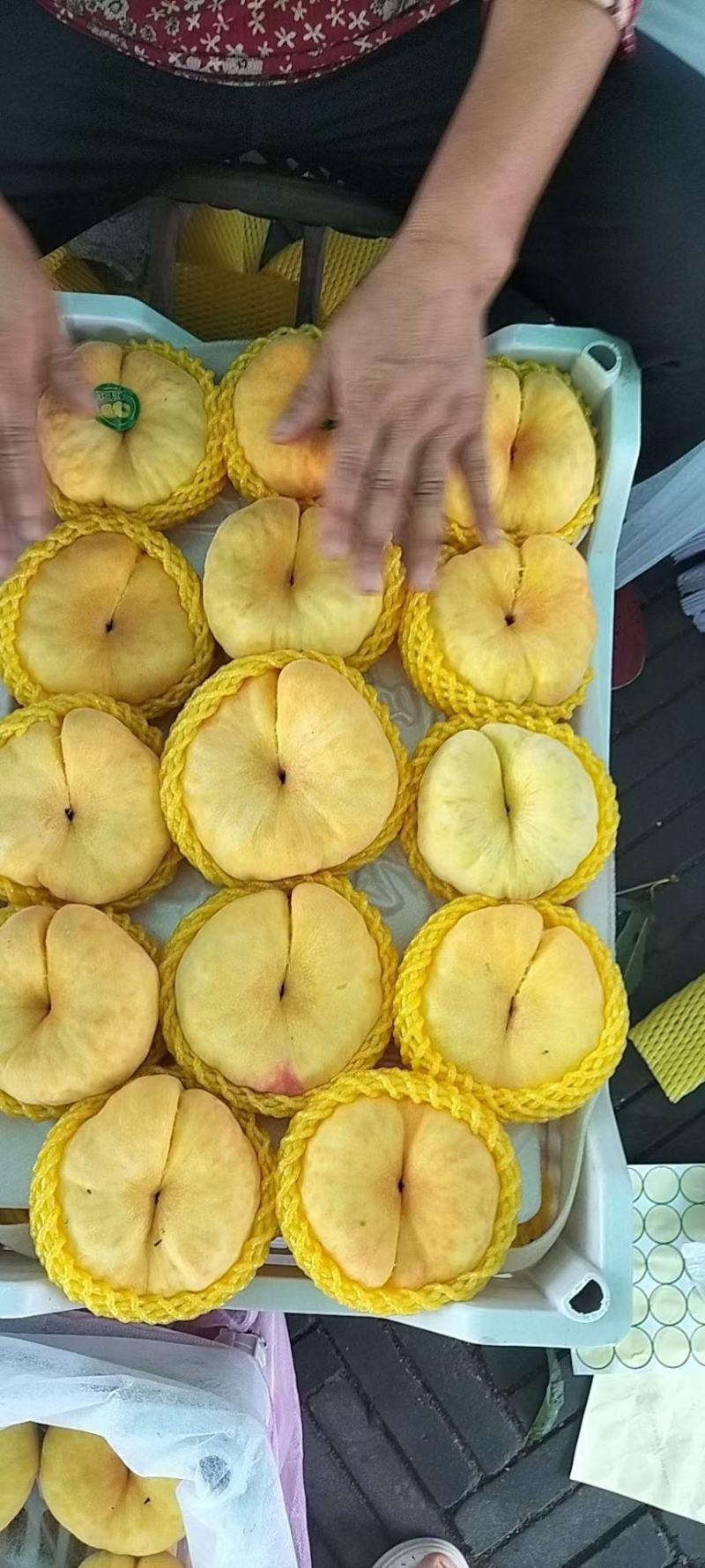 中蟠十一大量上市，个头大颜色黄，口感蜜甜，质量好价格低。