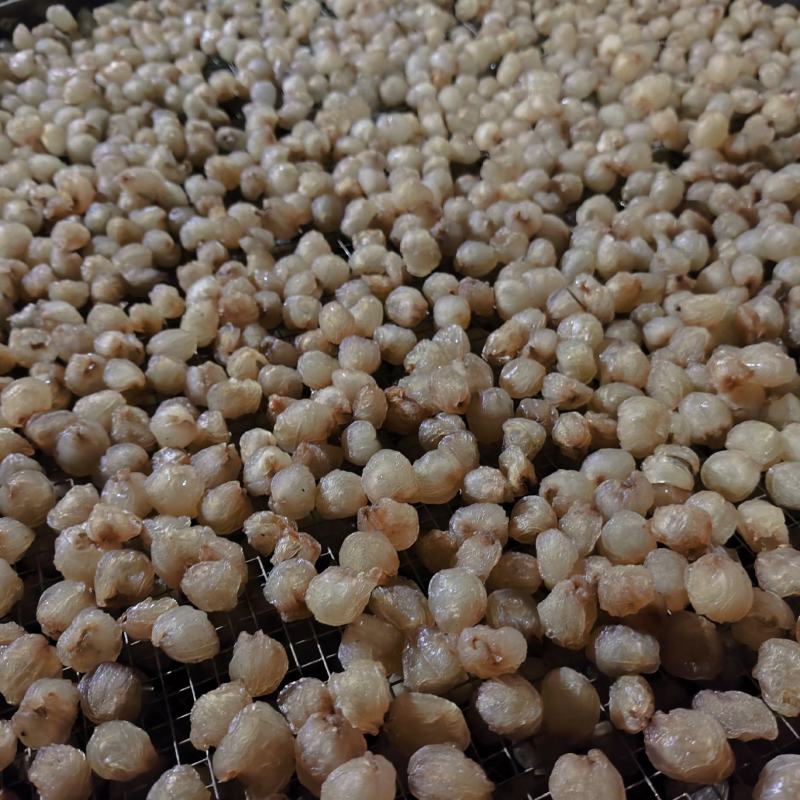 高州市分界镇桂圆肉大量现货供应