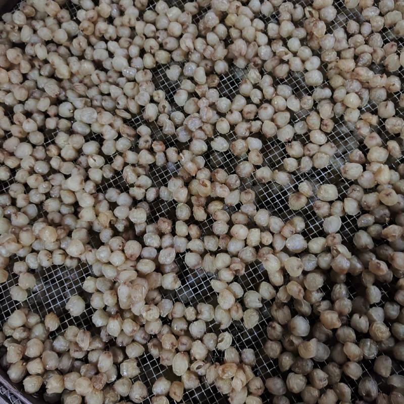 高州市分界镇桂圆肉大量现货供应