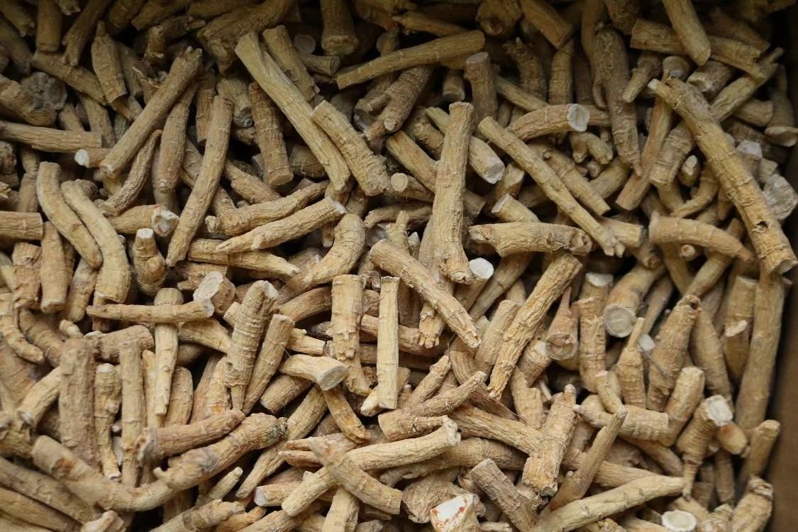 专业检测报告对比图：左为长白山5年林下籽参SGS全项检测报告（重点圈出Rh2=0.23mg/g、CK=0.91mg/g、总皂苷=84.3mg/g），右为某电商热销‘进口西洋参粉’检测单（Rh2=ND、CK=0.20mg/g、总皂苷=58.7mg/g）