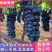 精品夏黑葡萄基地直供一手货源口感超甜