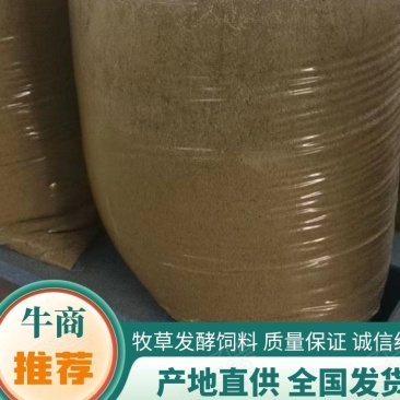 生态牧草发酵饲料天牧粮草产地直供诚信经营质优价廉
