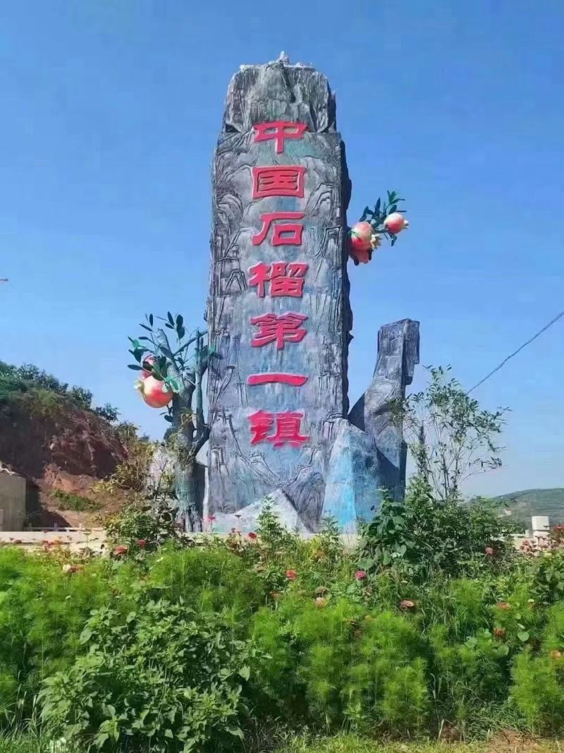 会理市突尼斯软籽石榴还有十多天就可以上市了需要的老板联系