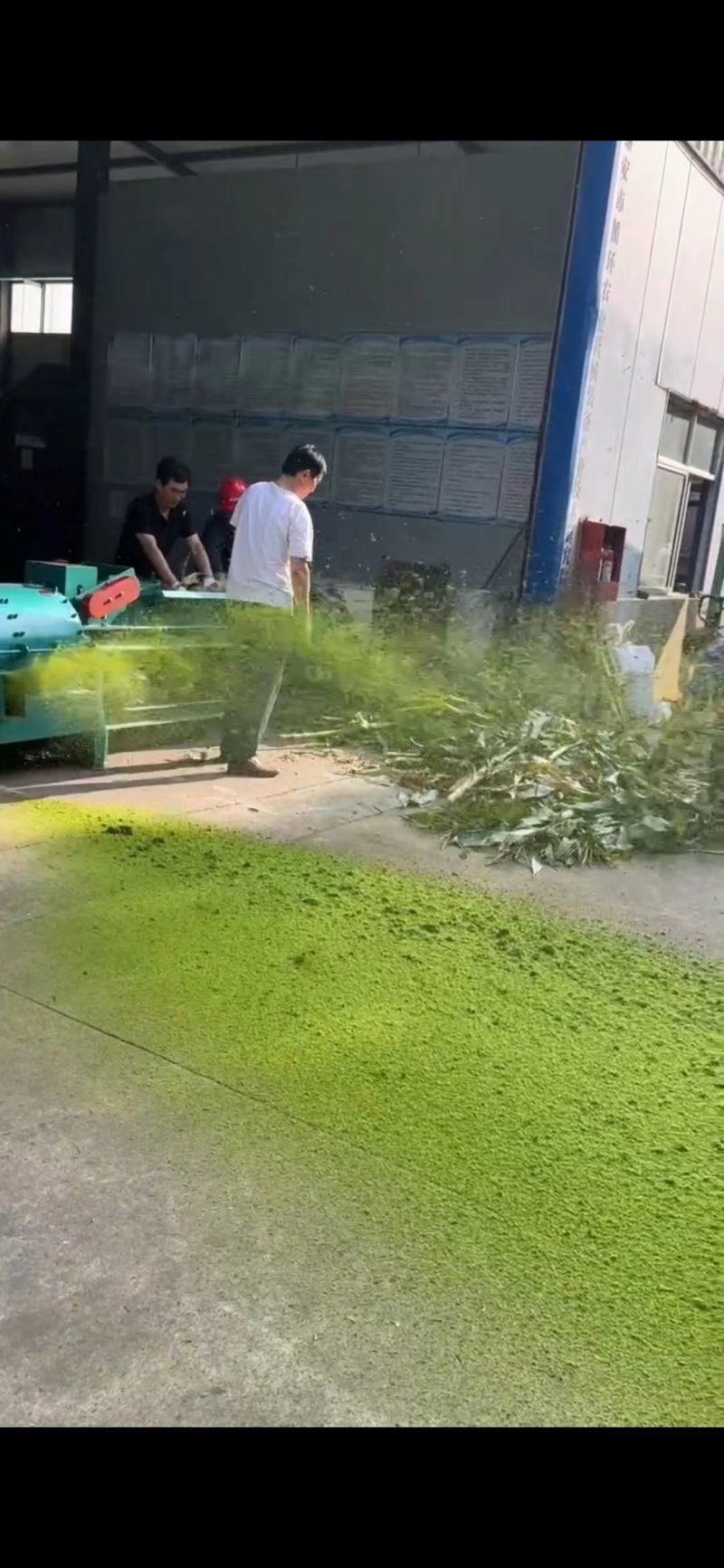 牧草发酵饲料产地直供质优价廉诚信经营全国发货