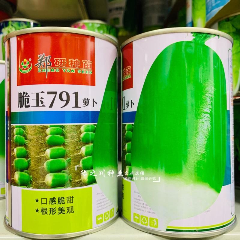 郑研791萝卜种子脆玉791罐萝卜种子秋季青萝卜基地专用