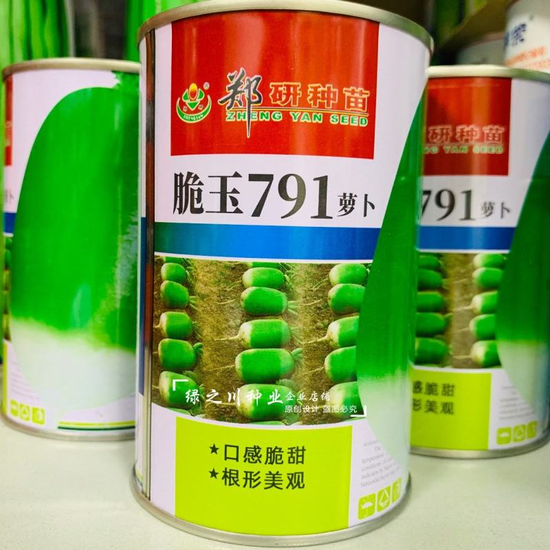 郑研791萝卜种子脆玉791罐萝卜种子秋季青萝卜基地专用