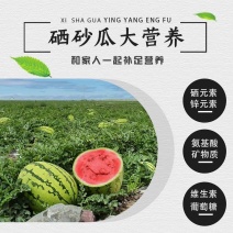 宁夏石头瓜【硒砂瓜】沙瓤蜜甜石头瓜，看瓜定价，欢迎