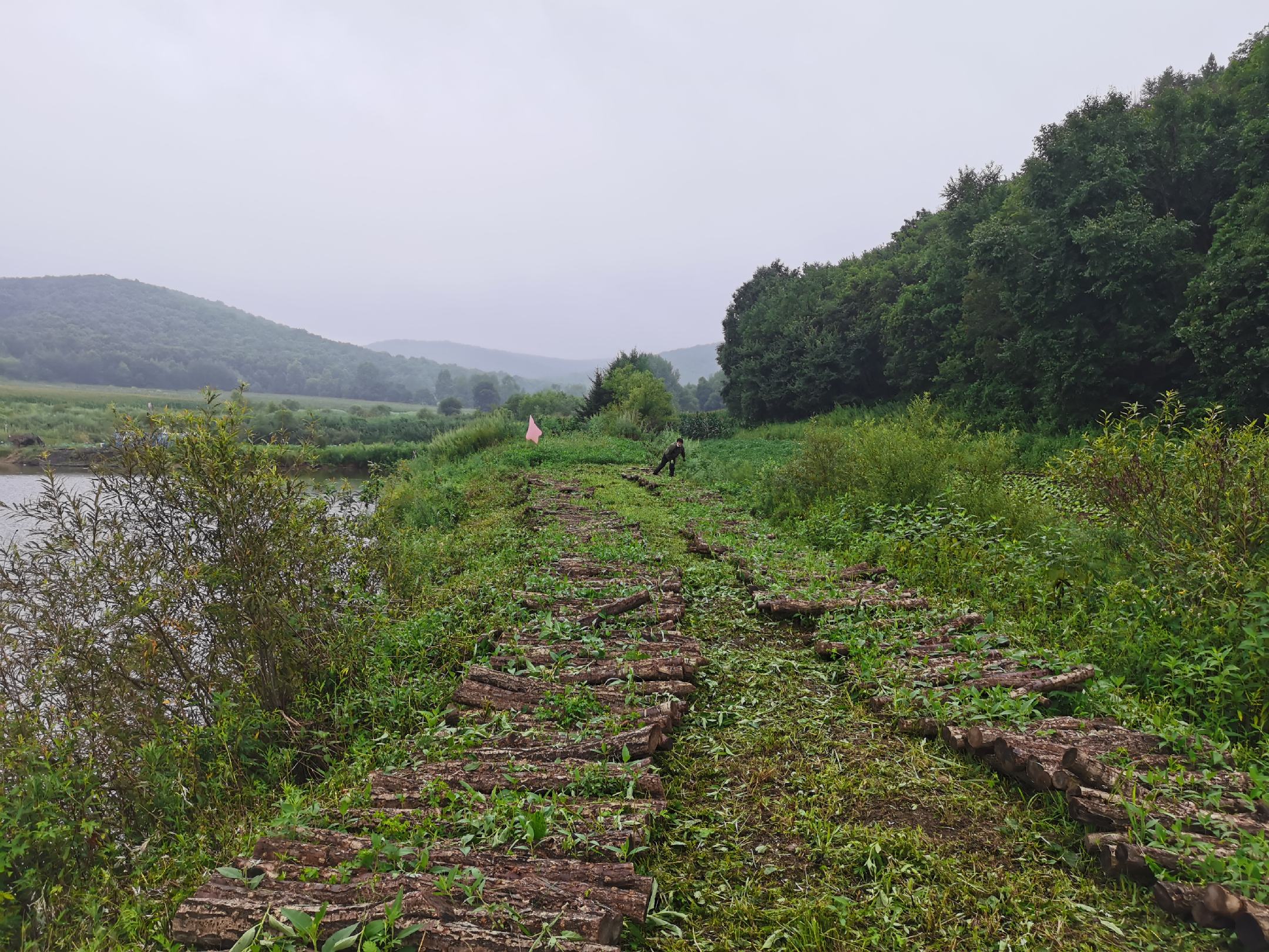 图片展示了黑玛卡在秘鲁安第斯高海拔地区的自然生长环境,阳光充足、气候寒冷,为其营养积累提供了良好条件 黑玛卡种植环境实景