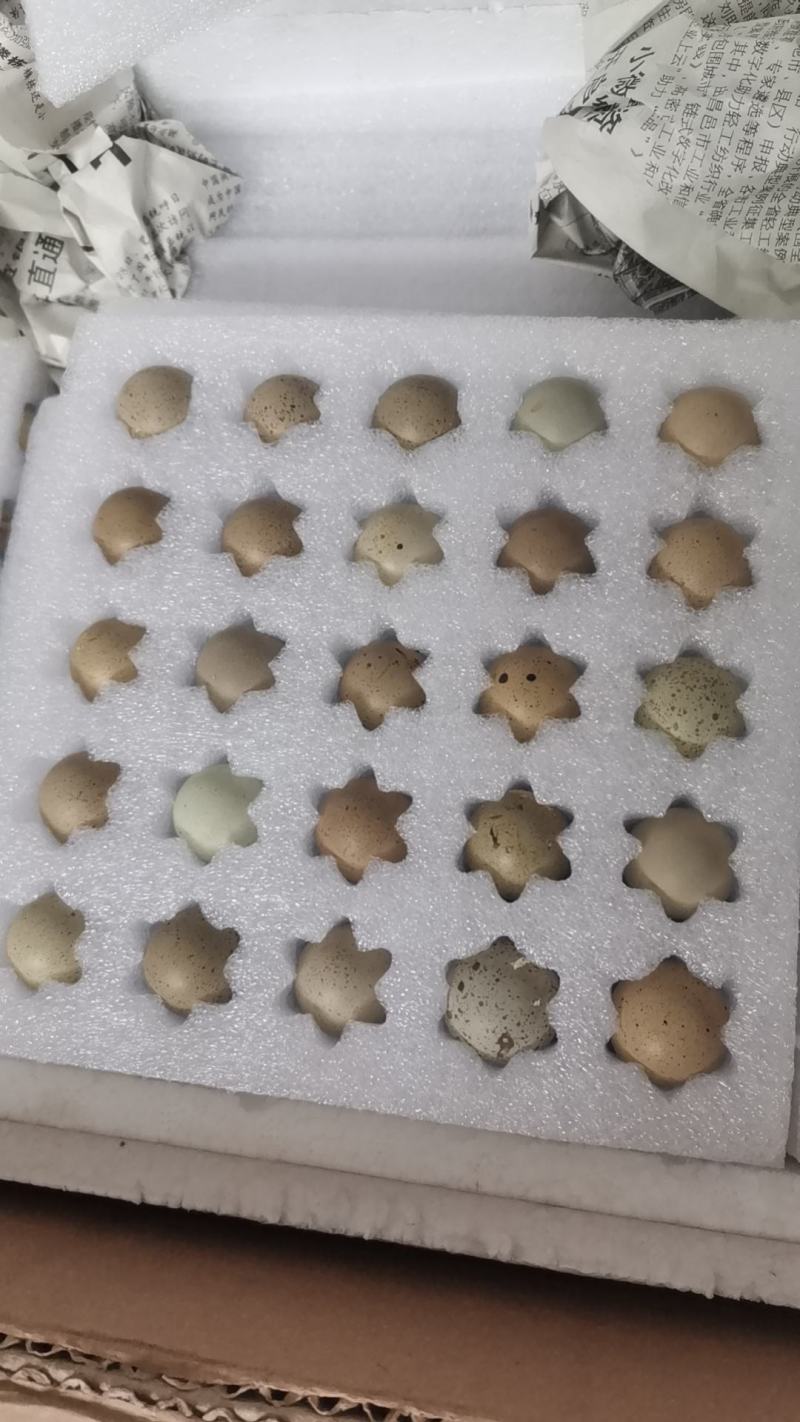 德系芦丁鸡