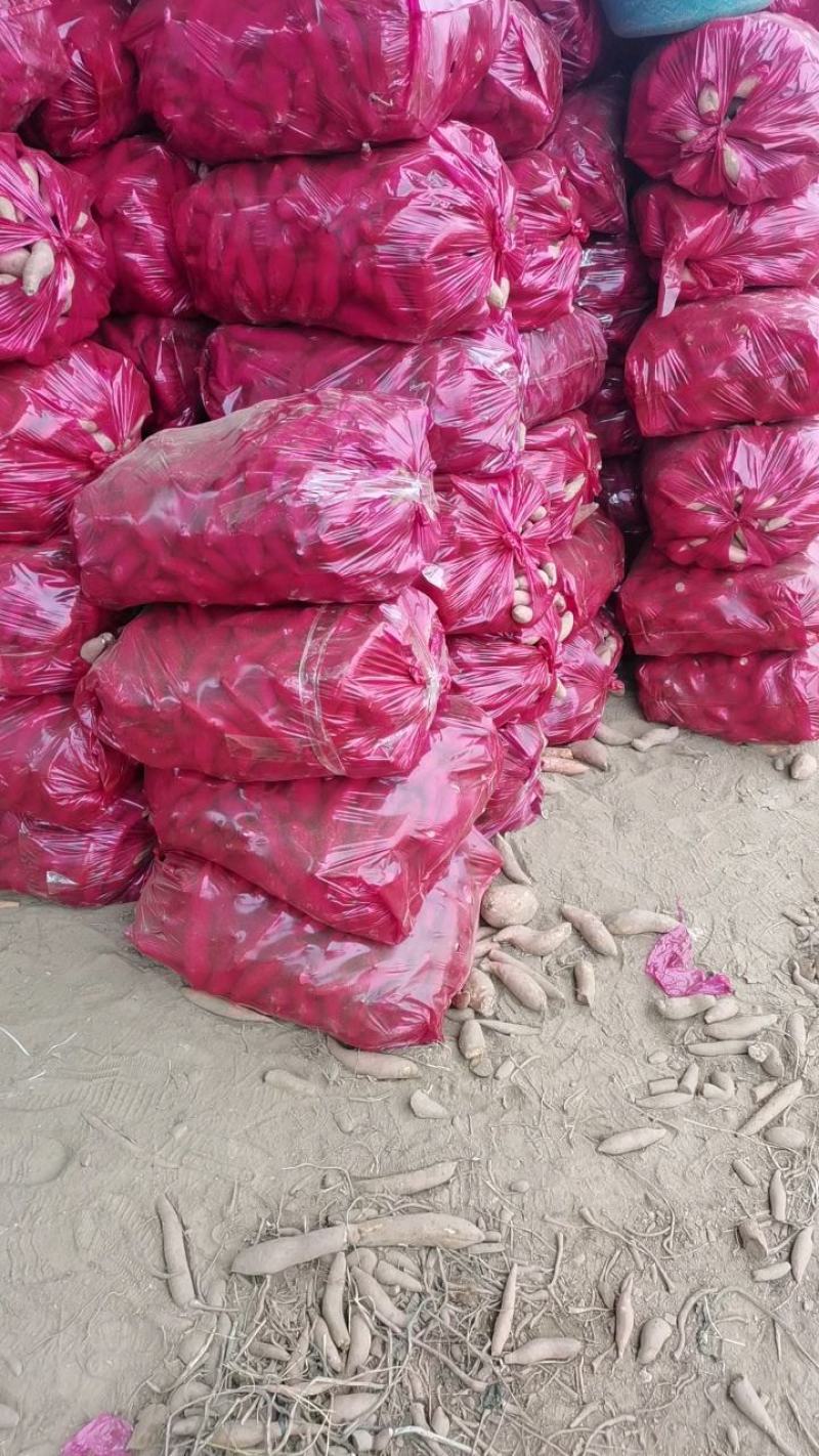 精品龙九小薯五斤装产地直发保质保量，支持各种规格包装