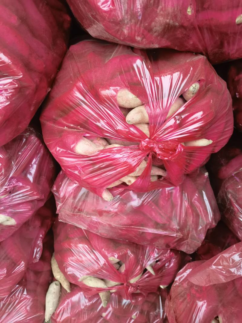 精品龙九小薯五斤装产地直发保质保量，支持各种规格包装
