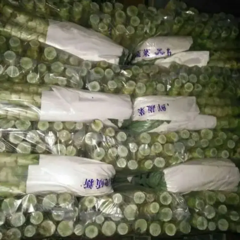 安徽莴苣莴笋大量上市产地直发品质保证一手货源