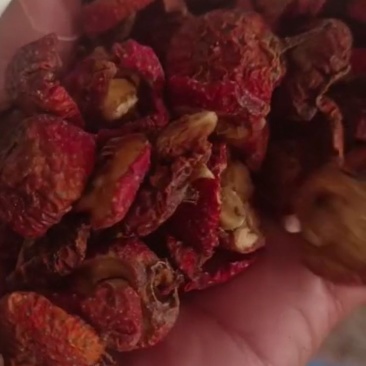 山楂