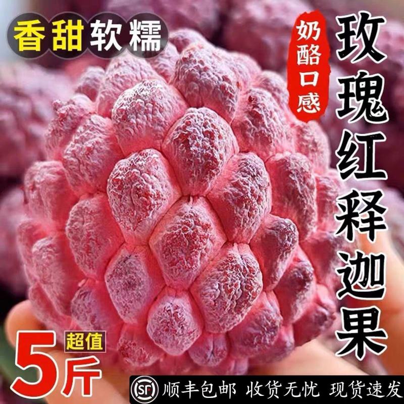玫瑰红释迦果/5斤新鲜释迦/番荔枝/佛头牟尼果/玫瑰释迦
