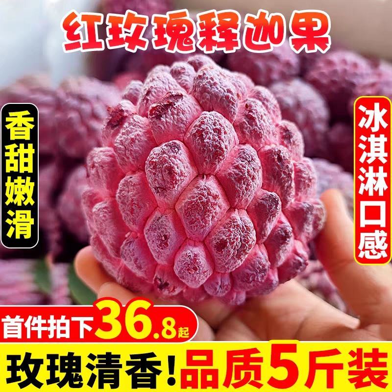 玫瑰红释迦果/5斤新鲜释迦/番荔枝/佛头牟尼果/玫瑰释迦
