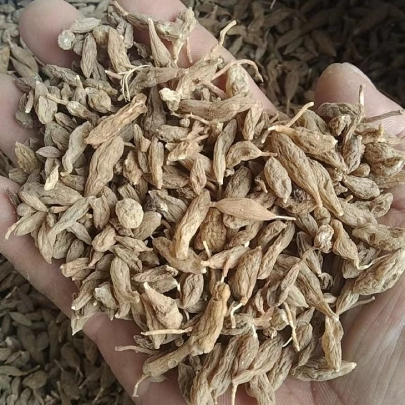 纯野生麦冬