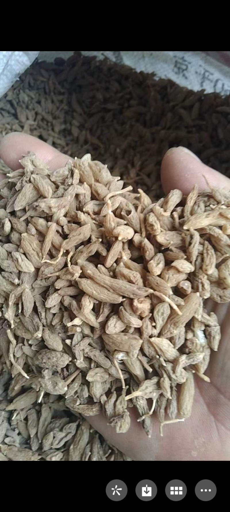 纯野生麦冬