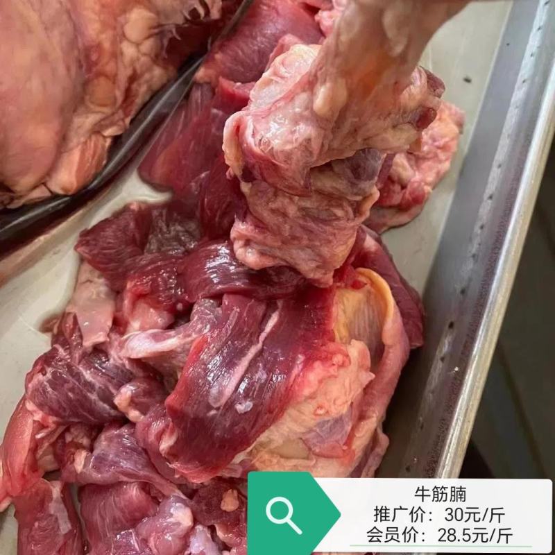 牛筋腩