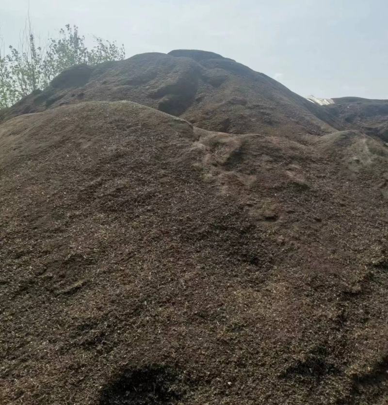 营养土腐殖土绿植土花肥草炭土批发自产自销欢迎合作