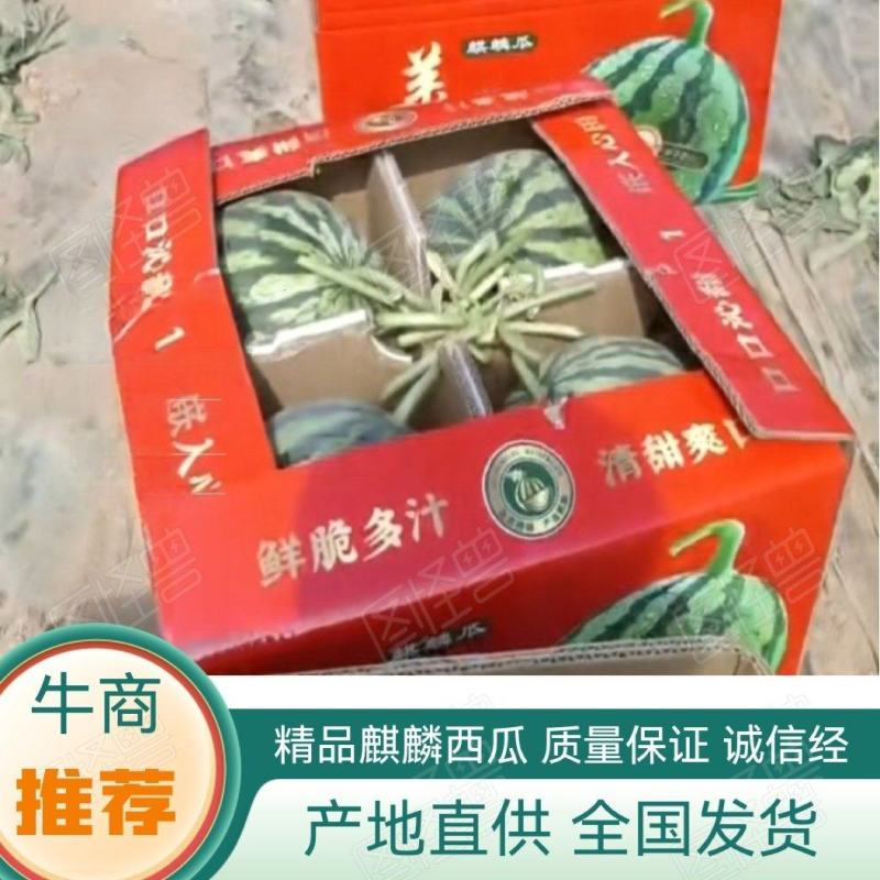 麒麟西瓜