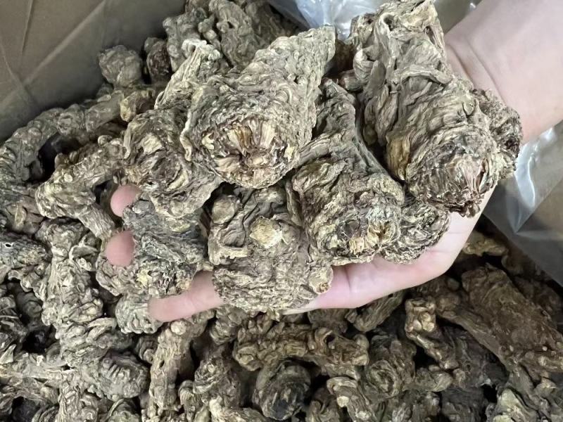 20头无硫当归头