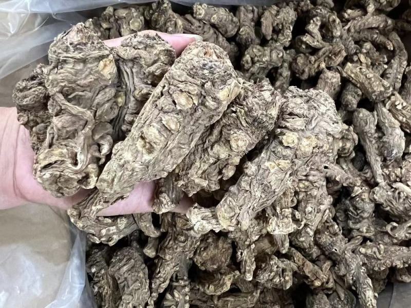 20头无硫当归头