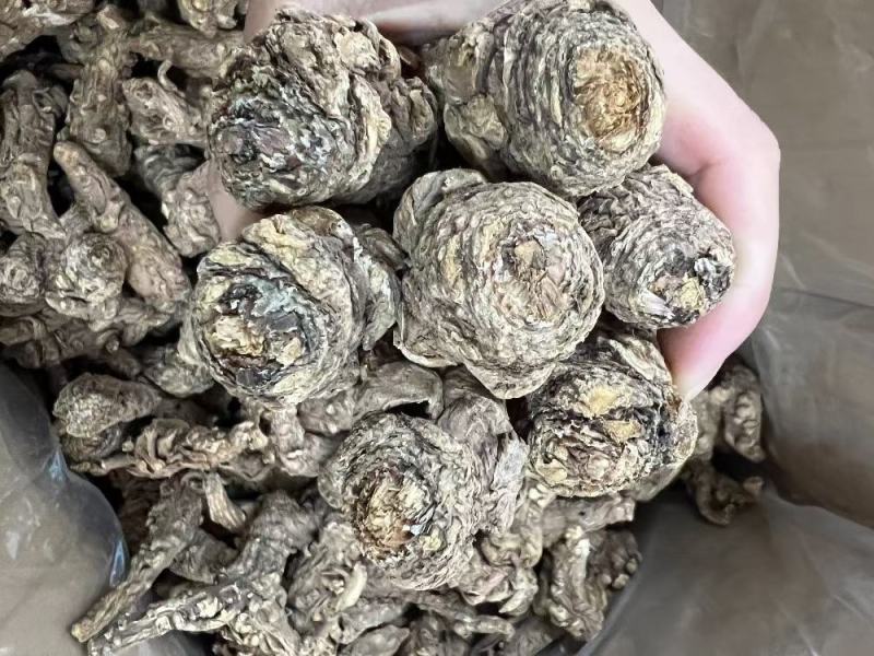 20头无硫当归头