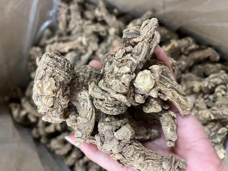 20头无硫当归头