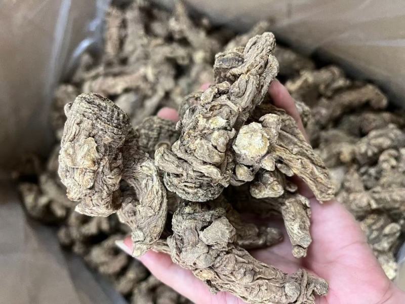 20头无硫当归头