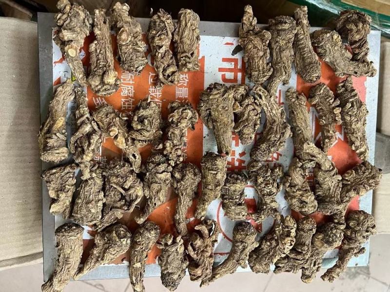 20头无硫当归头