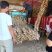 山东临请紫皮蒜、蒜黄料蒜种养蒜苗、产地直供往全国、欢迎来