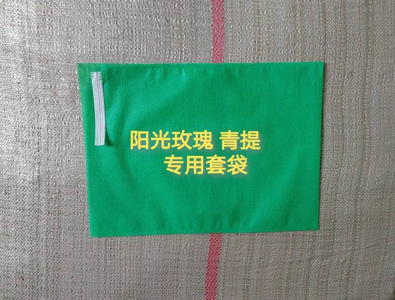 无纺布葡萄套袋桃子梨子芒果樱桃苹果柑橘等水果套袋批发