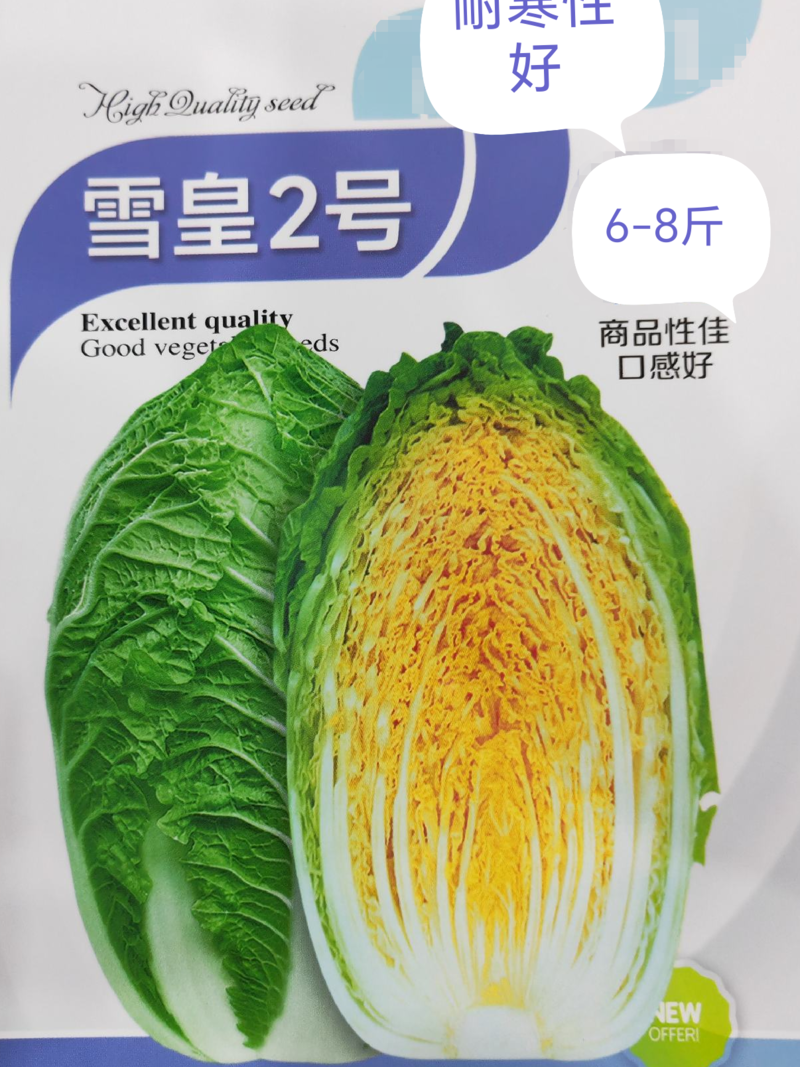 【精】郑研黄尚皇白菜种子10g，黄心白菜黄色大白菜种子