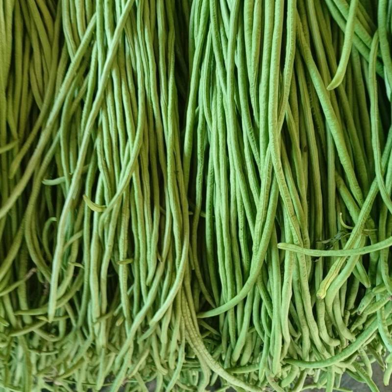 白条长豆角豇豆对接加工厂市场保证质量全国发货