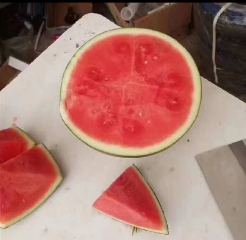 黑无籽西瓜