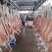 屠宰场直供绵羊分割产品质量保证诚信经营一手货源羊肉
