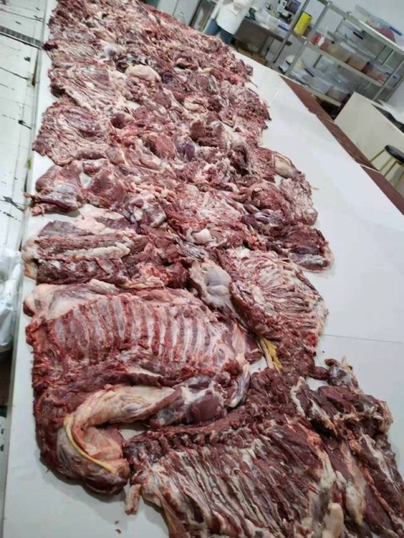 屠宰场直供绵羊分割产品质量保证诚信经营一手货源羊肉