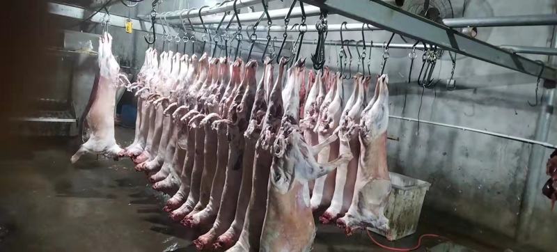 屠宰场直供绵羊分割产品质量保证诚信经营一手货源羊肉