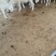屠宰场直供绵羊分割产品质量保证诚信经营一手货源羊肉