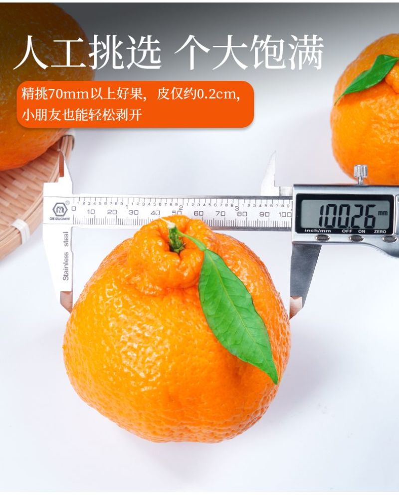 正宗不知火丑橘爱媛38春见耙耙柑三个品种任一批发备注