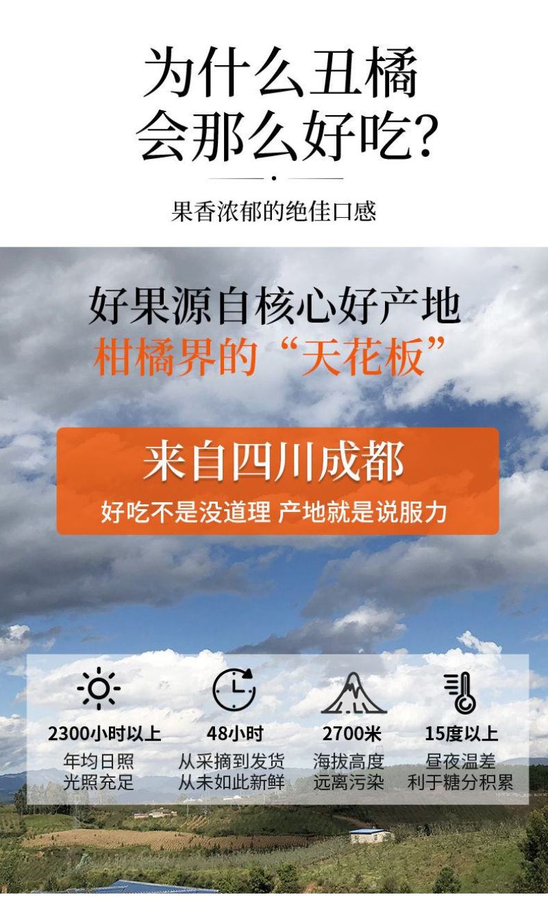 正宗不知火丑橘爱媛38春见耙耙柑三个品种任一批发备注