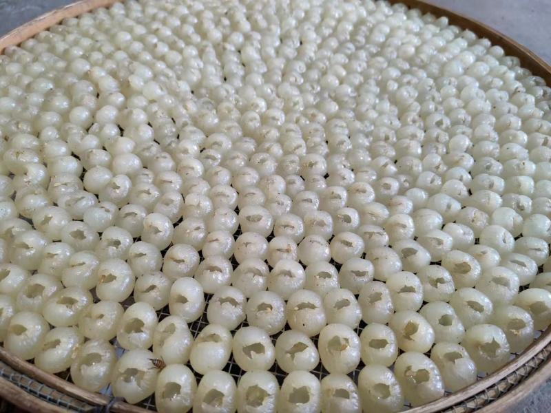 高州桂圆生产加工源头，质量保证，价格优惠。