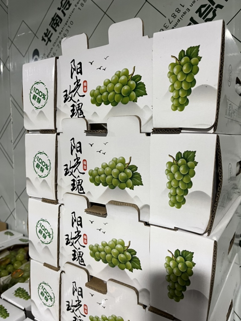 湖北阳光玫瑰葡萄大量上市中，口感纯甜