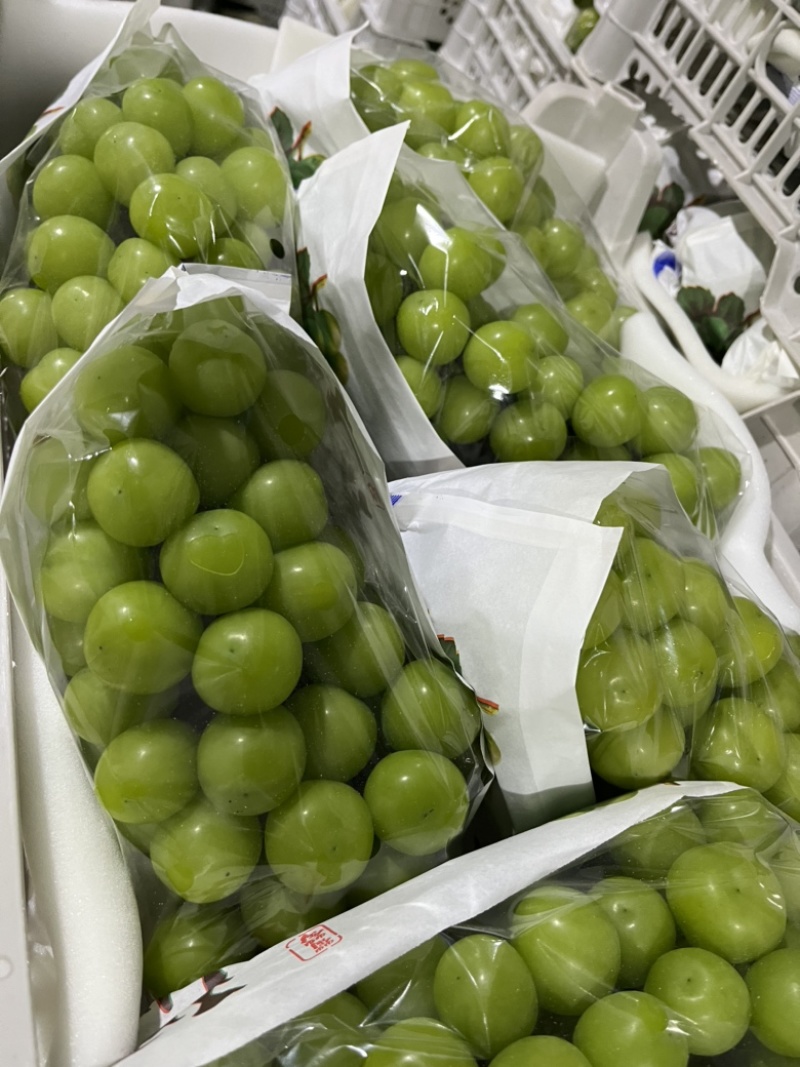 湖北阳光玫瑰葡萄大量上市中，口感纯甜