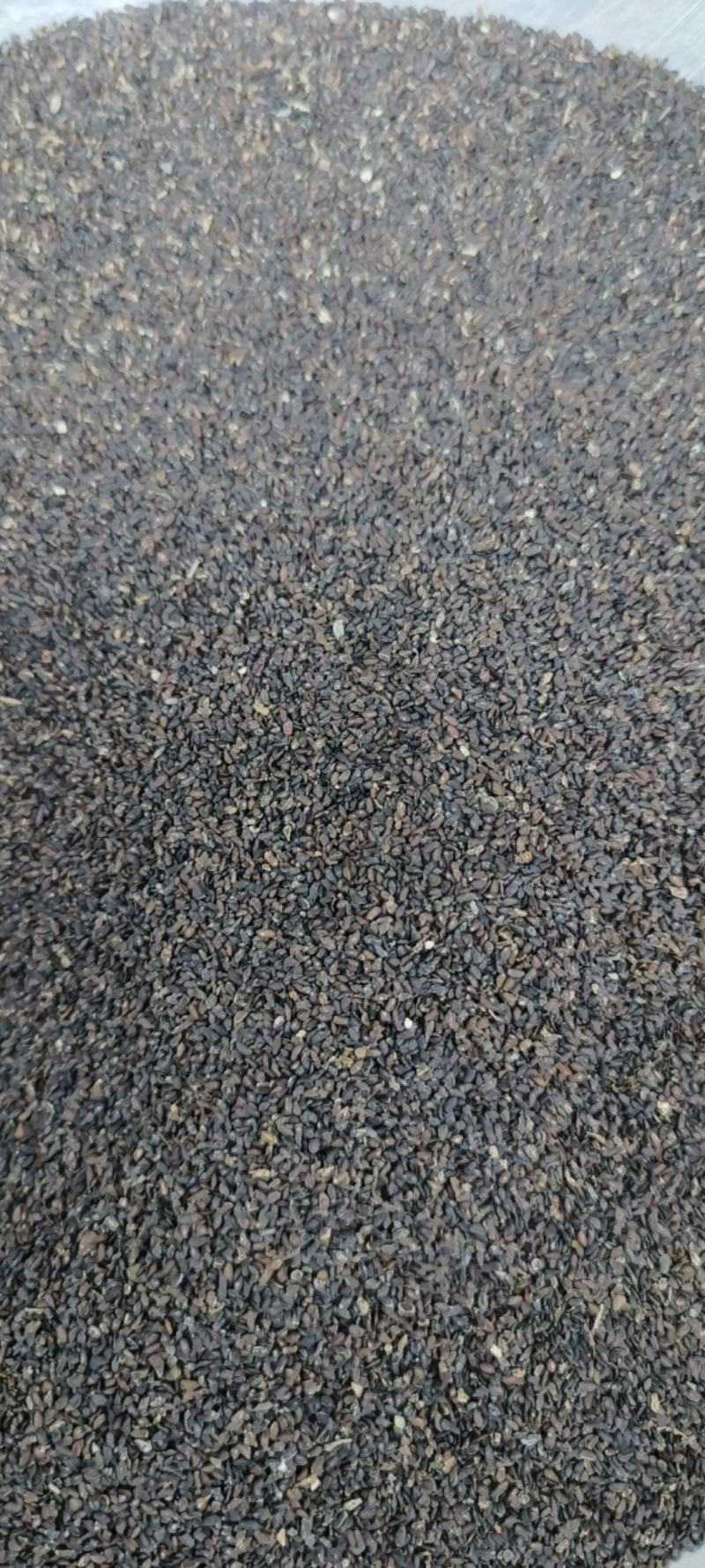 车前子包邮江西车前子净货产地直发量大从优一手货源