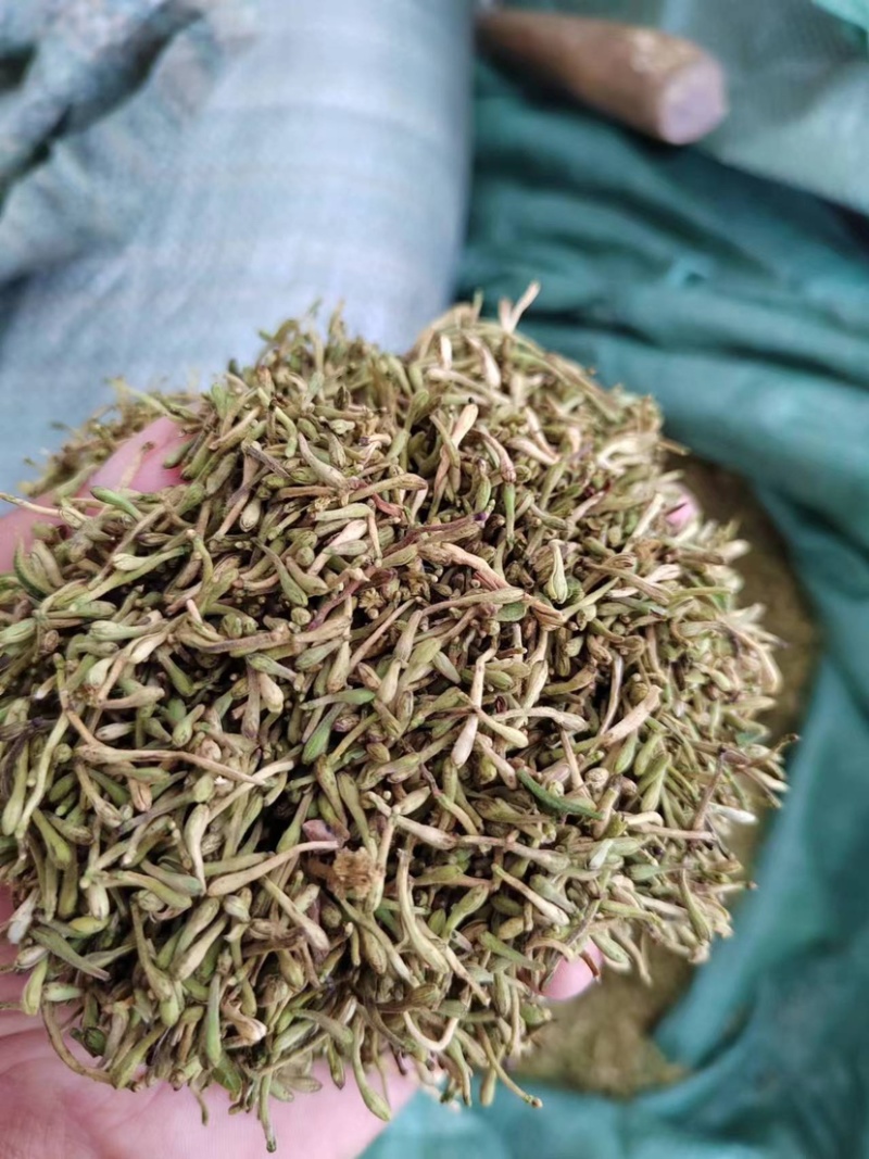 贵州土特产安龙野生金银花，生晒无硫，具有淡淡的清香味
