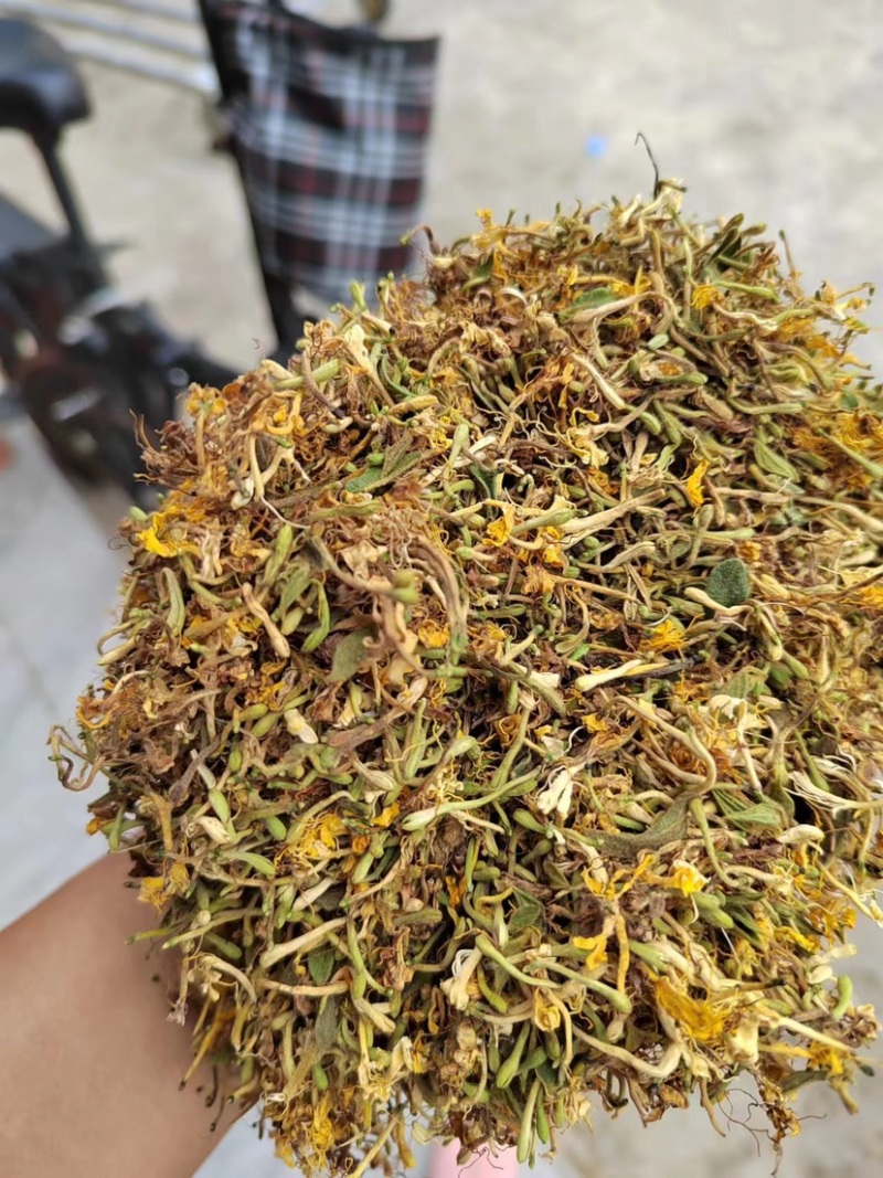 贵州土特产安龙野生金银花，生晒无硫，具有淡淡的清香味