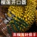 榴莲钳子夹子开榴莲工具剥榴莲神器榴莲开口器掰榴莲神器专用