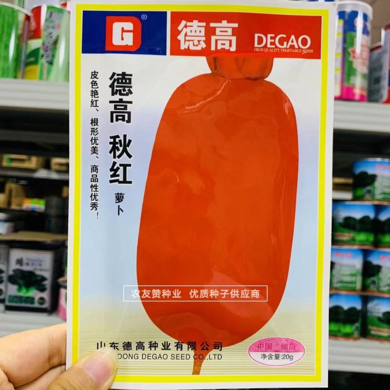 德高秋红萝卜种子基地专用皮色艳红根形美红皮萝卜种子
