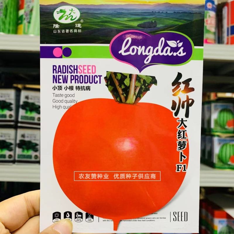 小顶小根特抗病大红萝卜种子圆形红皮萝卜种子不裂根好吃好卖